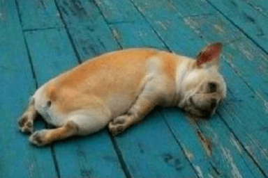 TIHIDI: Headless Tabs, Accordions, and Dynamic Placeholders, OH MY!